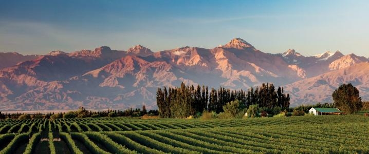 Mendoza