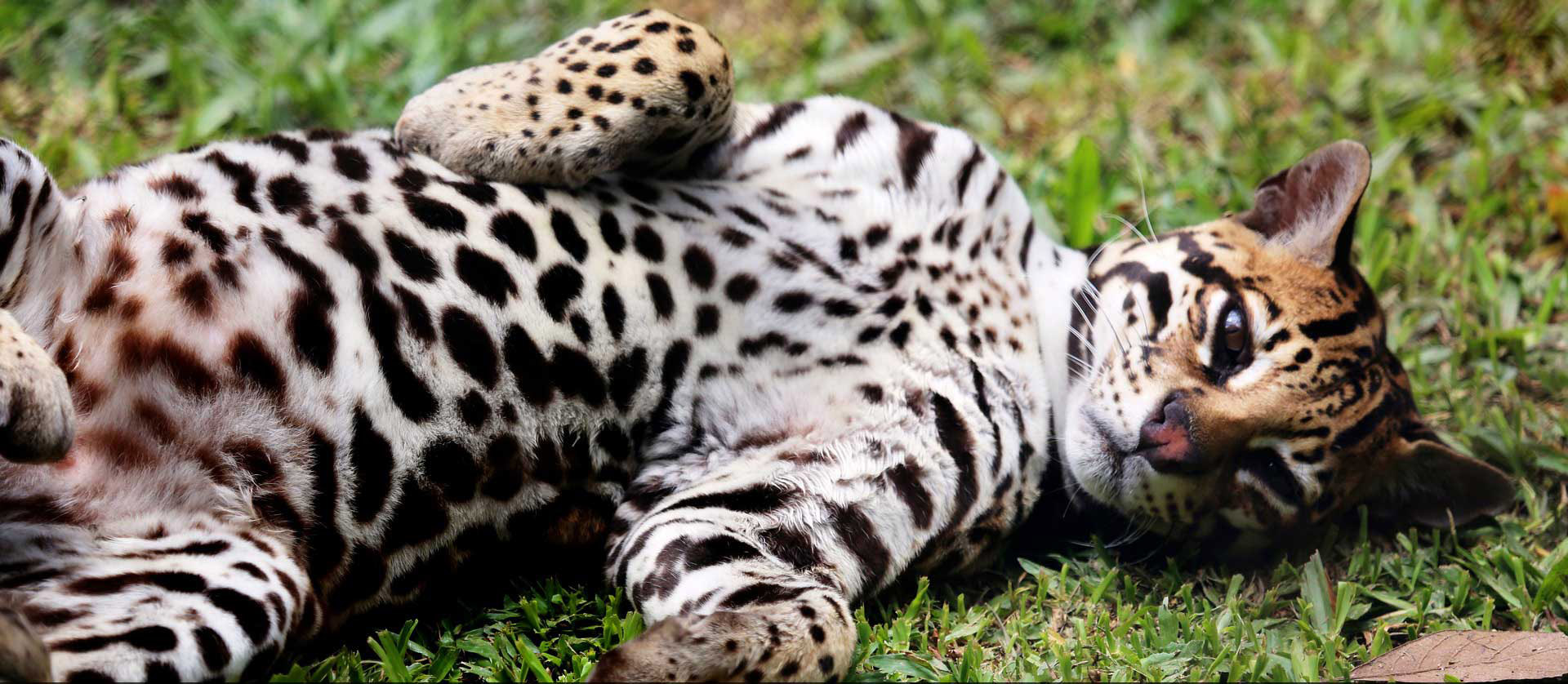 foto 3 Believe in Travel Panama