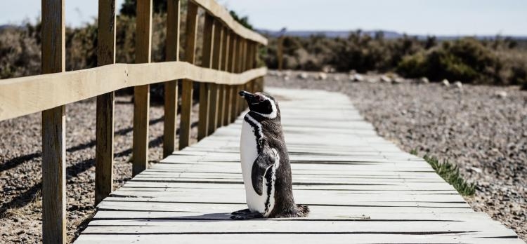 Puerto Madryn