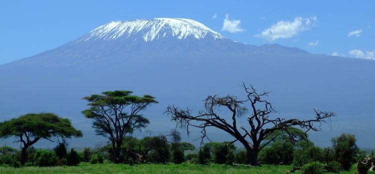 Safari Maridadi (K)
