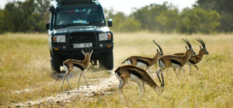 Safari Kipekee (K)