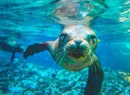 Semana ballenas 5 días 2023