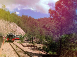 Verano VIP redondo Chihuahua miércoles y viernes 2023 5 días