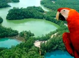 Chiapas Extraordinario 2023 8 días 