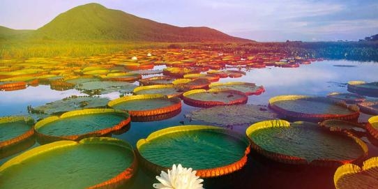 Sensaciones de la naturaleza 7 días 2023