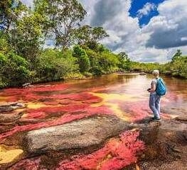 Caño Cristales