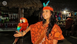Selva Central Fabuloso