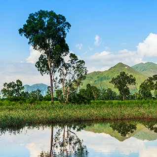 Tailor Made - Brazil Northern Pantanal And Amazon