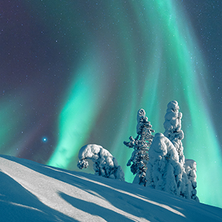 Tailor Made - Winter Magic in Finnish Lapland