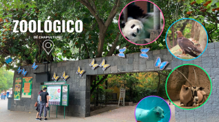 CDMX Aventura en Familia y El Chavo 5D 4N