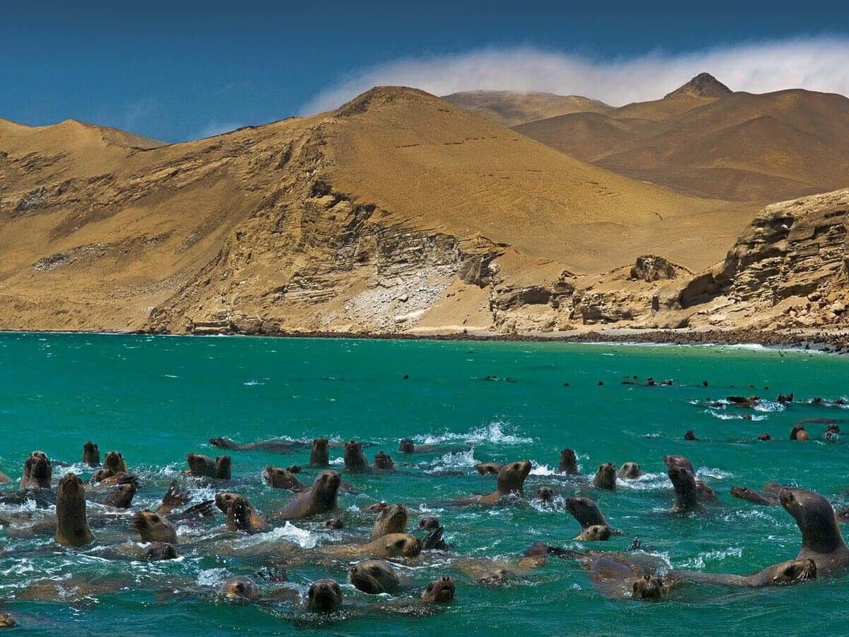 PROMO PERÚ ARQUEOLÓGICO