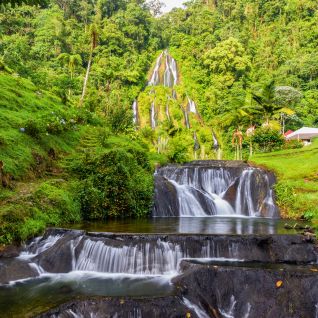EJE CAFETERO PAISAJE Y DESCANSO / 4 DÍAS - 3 NOCHES / HASTA ENERO 2027