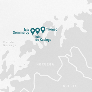 EXCURSION All inclusive Arctic day trip:  Kvaloya & Sommaroy