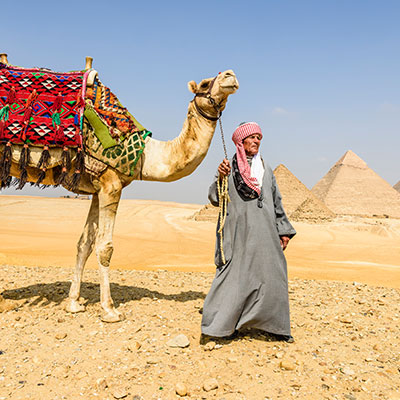 Extensión desiertos blanco y negro