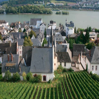 Treasures of the Rhine – VISTARIO Superior