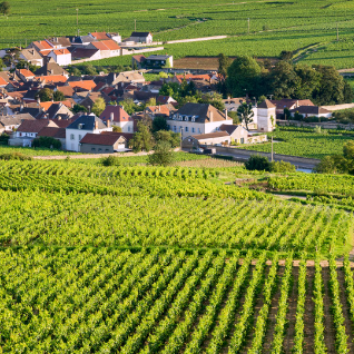 Wonders of Burgundy