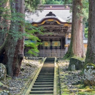 Japan Awaits You