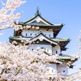 Scenic Korea and Japan’s Corners, Ending in Sapporo