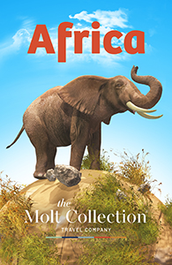 The Molt Collection